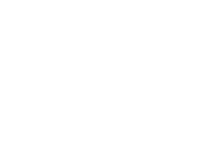SportsBug logo